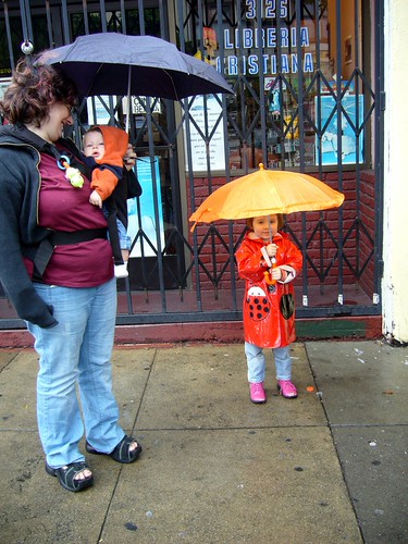 Bob, Dexter and Ada in the rain Yoz Grahame Flickr