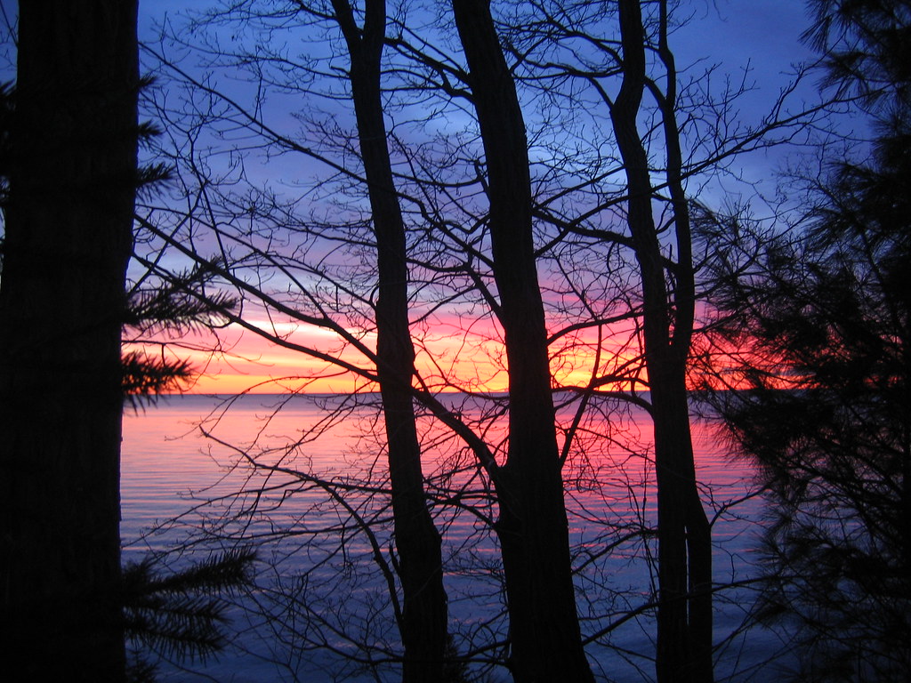 Picture 326 Dustin Hall Flickr