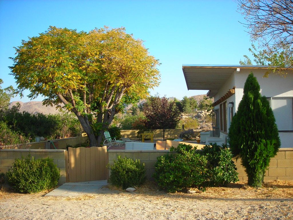 Tom's Place He wasn't home. Arthur Brennan Flickr