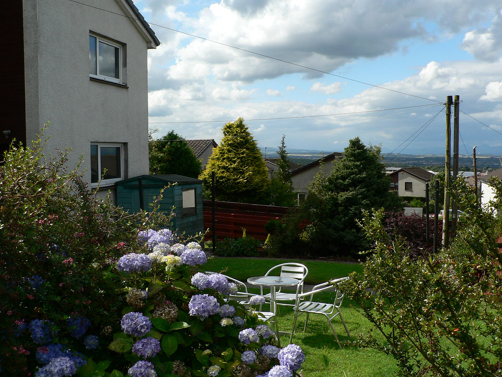 Back of house Stating the obvious Anne Murray Flickr