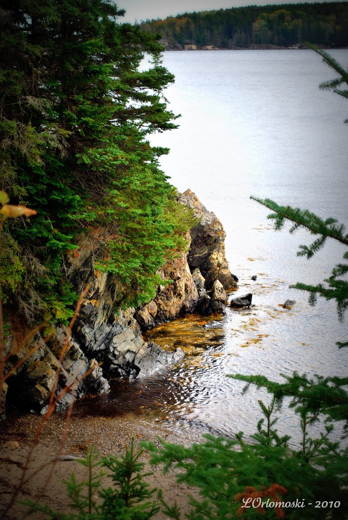 Maine Coast at Owls Head Linda Orlomoski Flickr