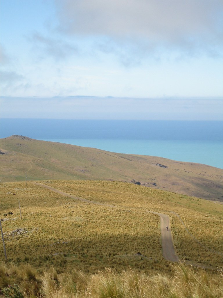 Lands End Road Biking out to the windswept end of Akaroa h… Flickr
