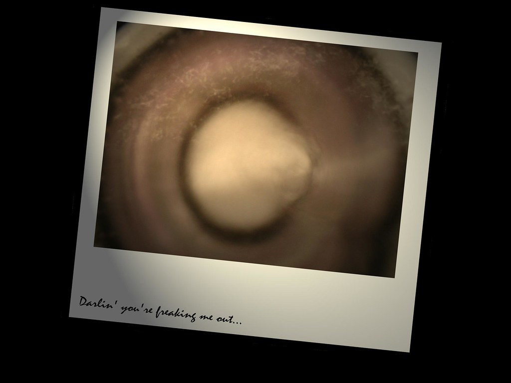 Spinning eye Lee Hall Flickr