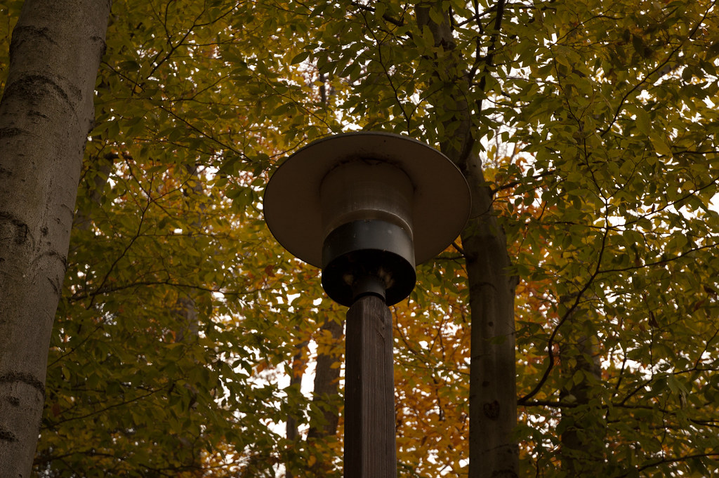 Zeehan Rauf Colgate Photo Club Flickr