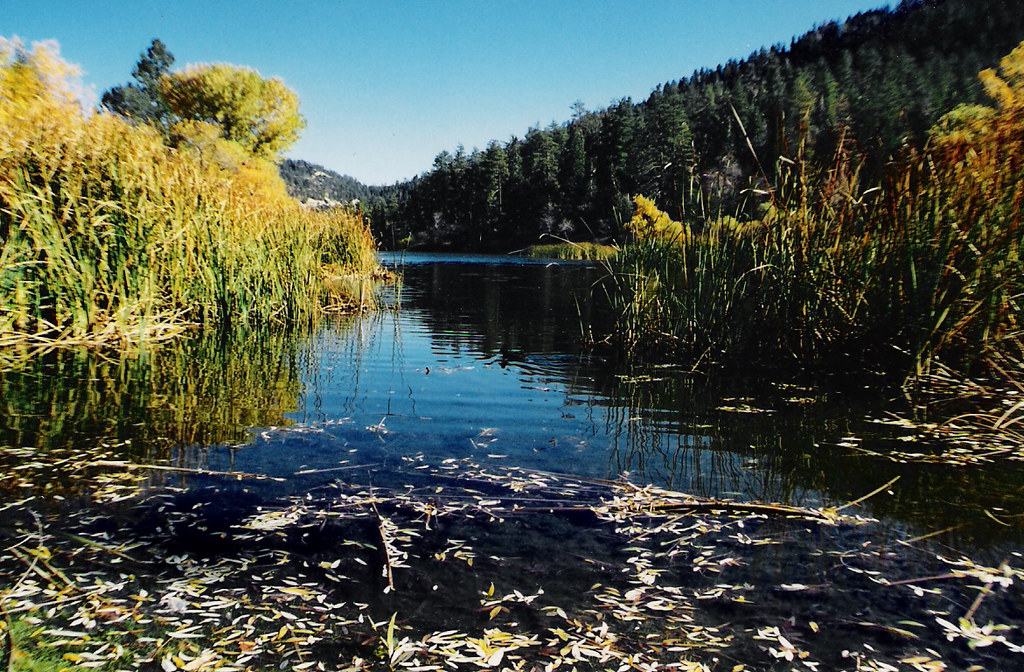 Jackson Lake Wrightwood California For more go to www.geo… Flickr