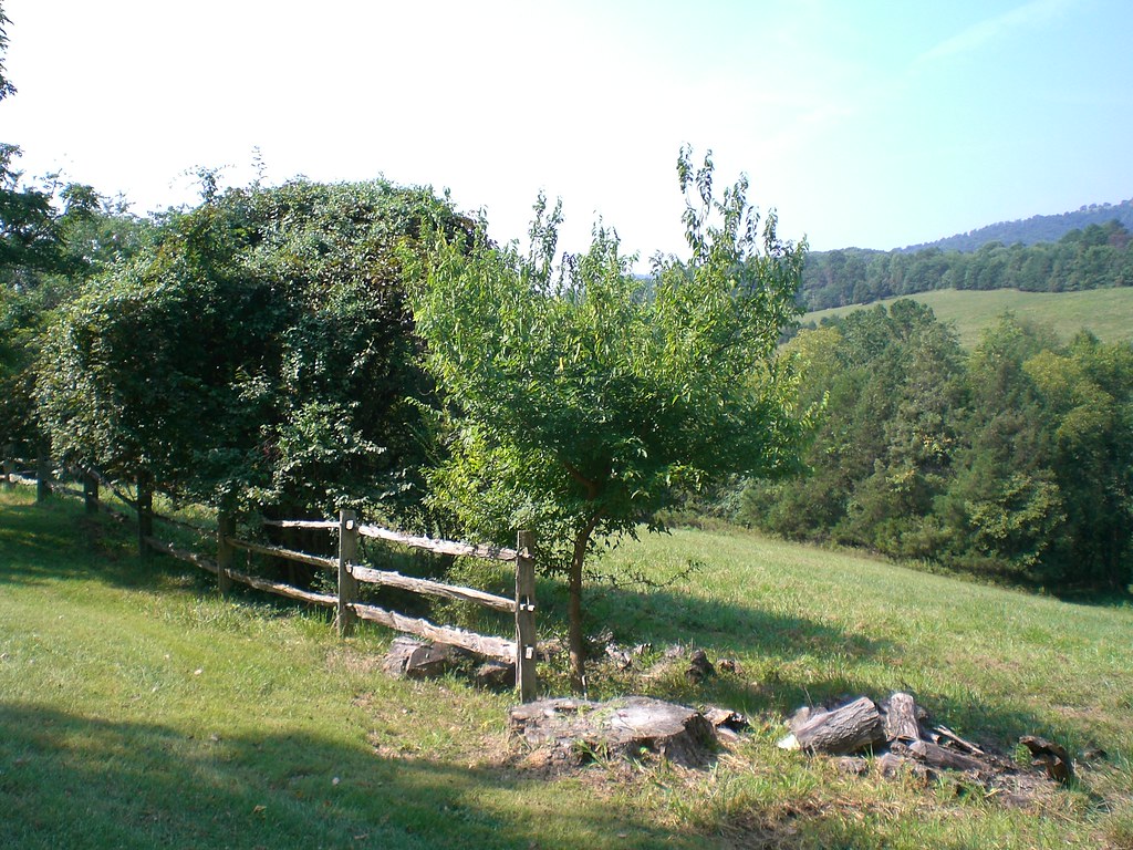 view from tufton farm Leslie Johnston Flickr
