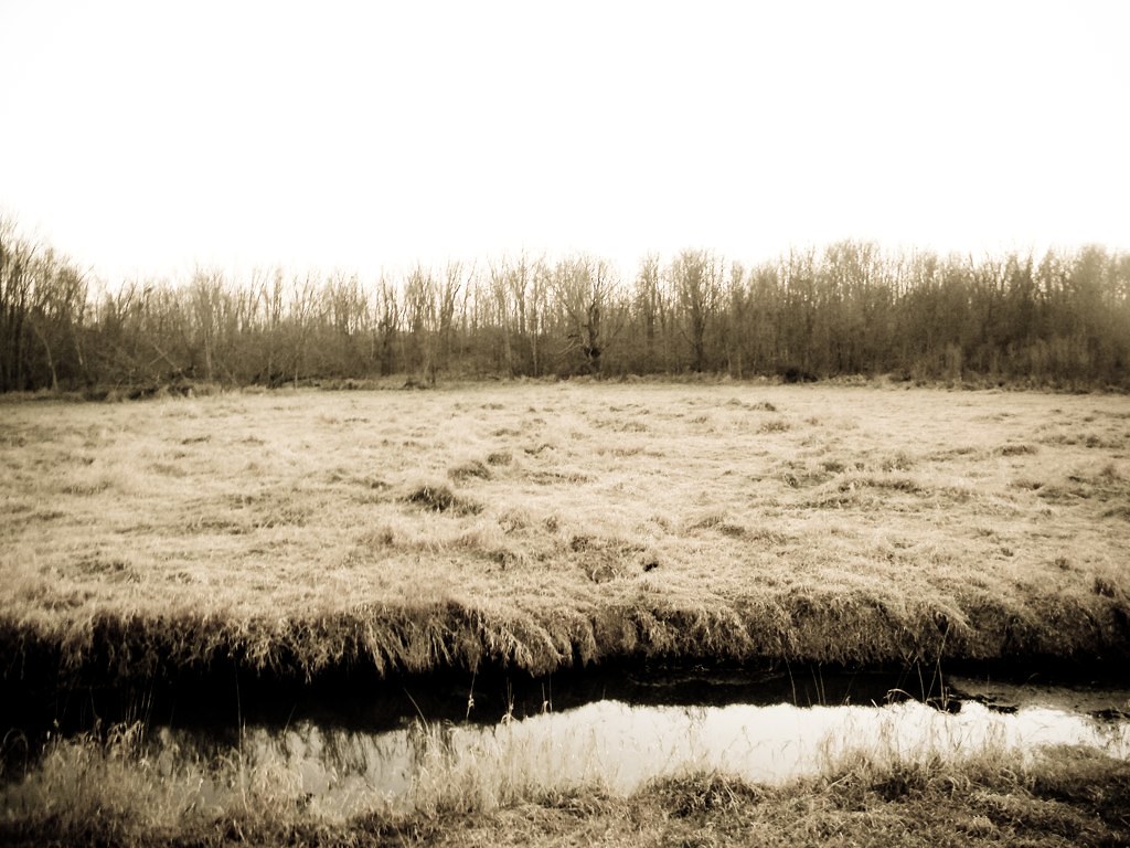 Murray Street Bixler Lake, Kendallville, IN Ian Baker Flickr