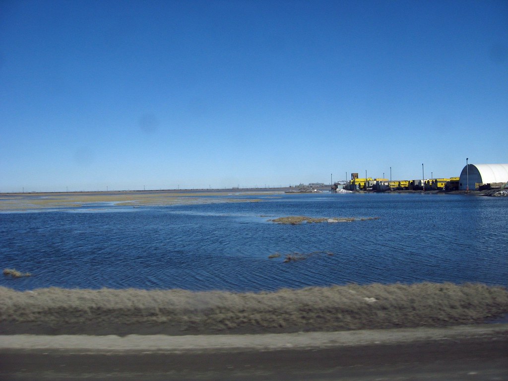 Prudhoe Bay, Alaska Jun 16 07 Around Prudhoe by bus driv… Flickr