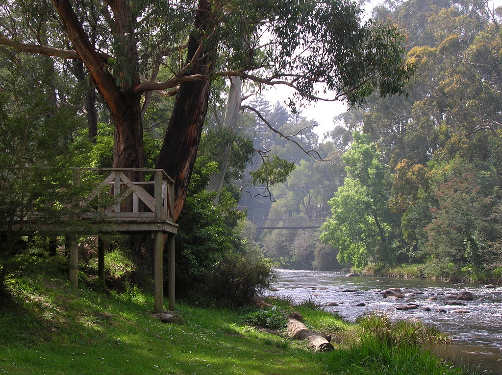 Warburton, Victoria in Australia MM_Andamon Flickr