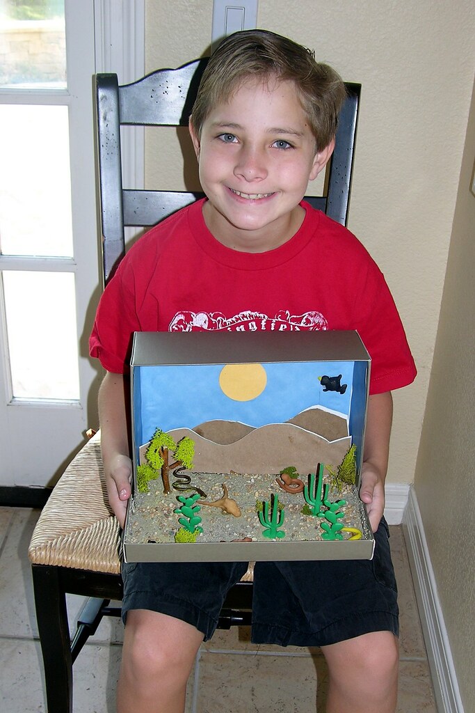 Harrison with diorama of Mojave Desert 4th grade, diorama … Flickr