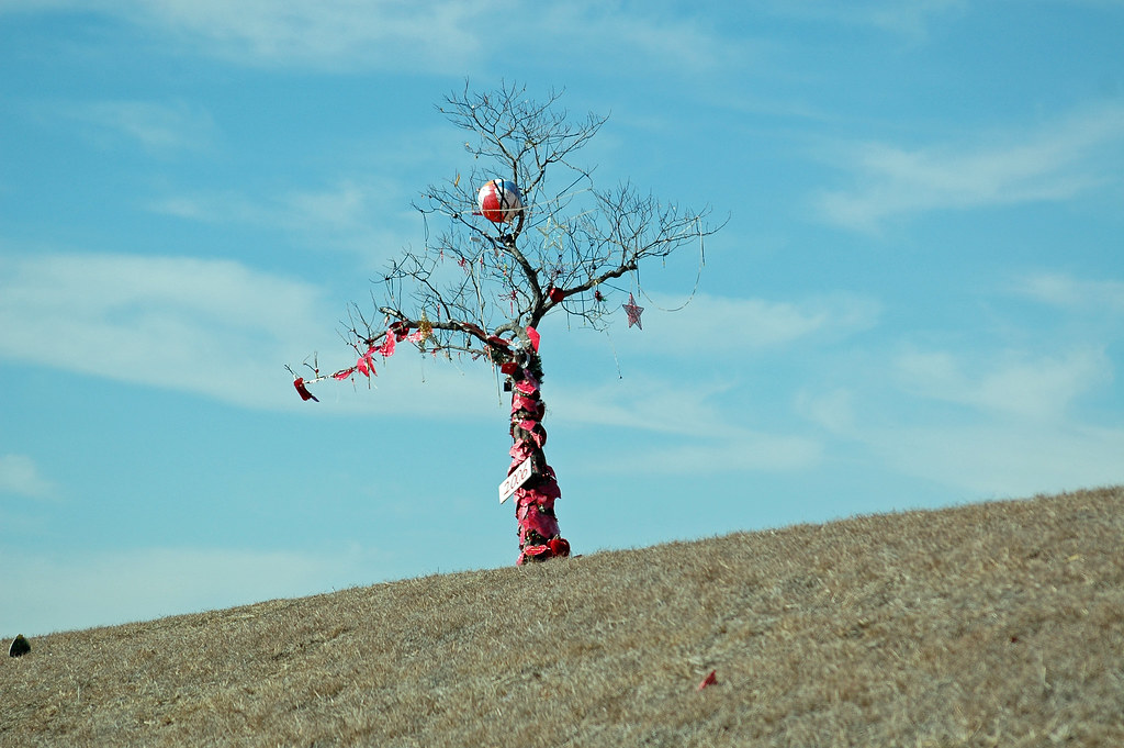 Homeless Christmas Tree The Homeless Christmas tree of I3… Flickr