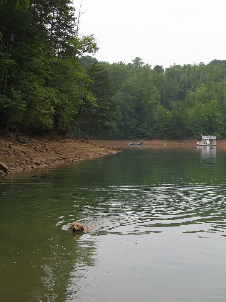 Crosby in Blue Ridge Lake Valerie Flickr