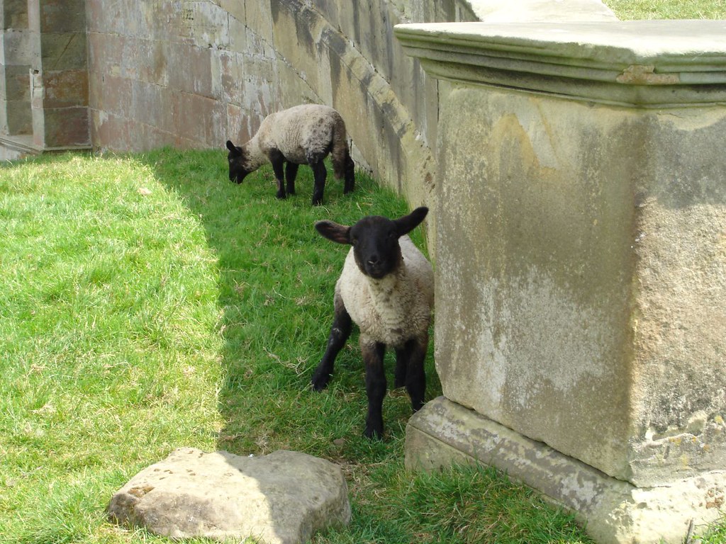 Boo Kedleston Hall, Quarndon, Derby. National Trust. www.n… Flickr