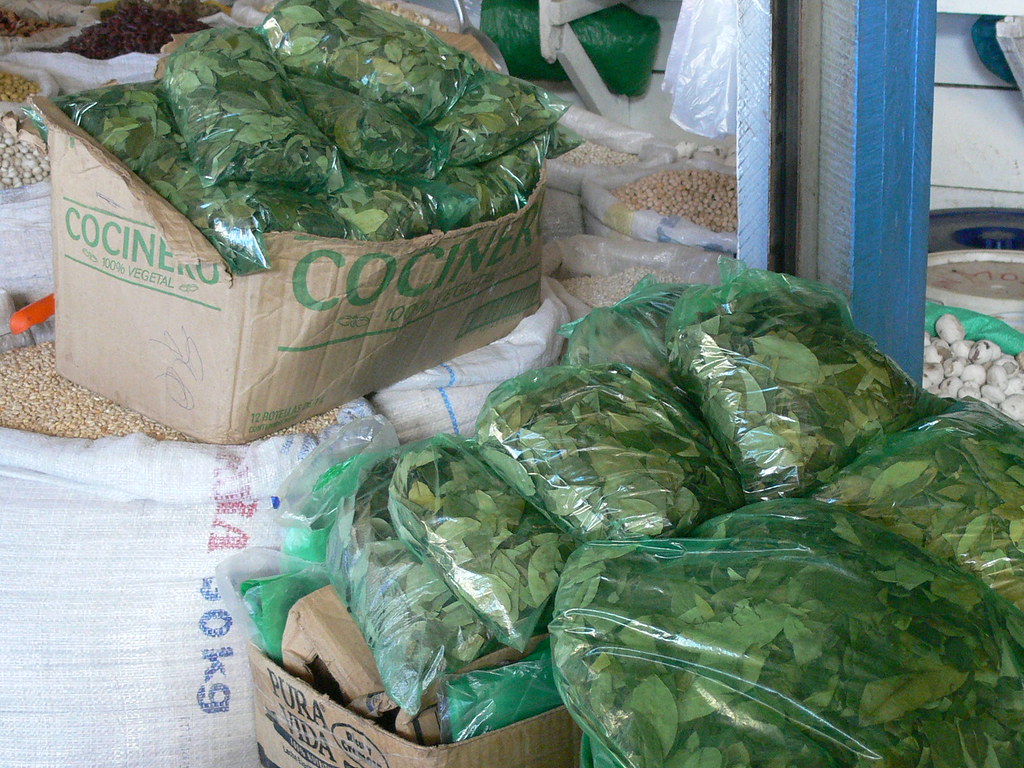 Coca Leaves Bagged and ready for sale. AnswerGuru Flickr