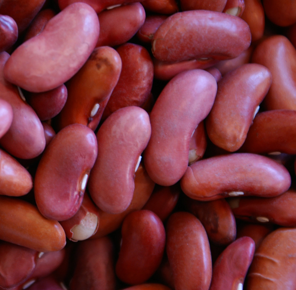 Kidney Beans kidney beans unfiltered Flickr