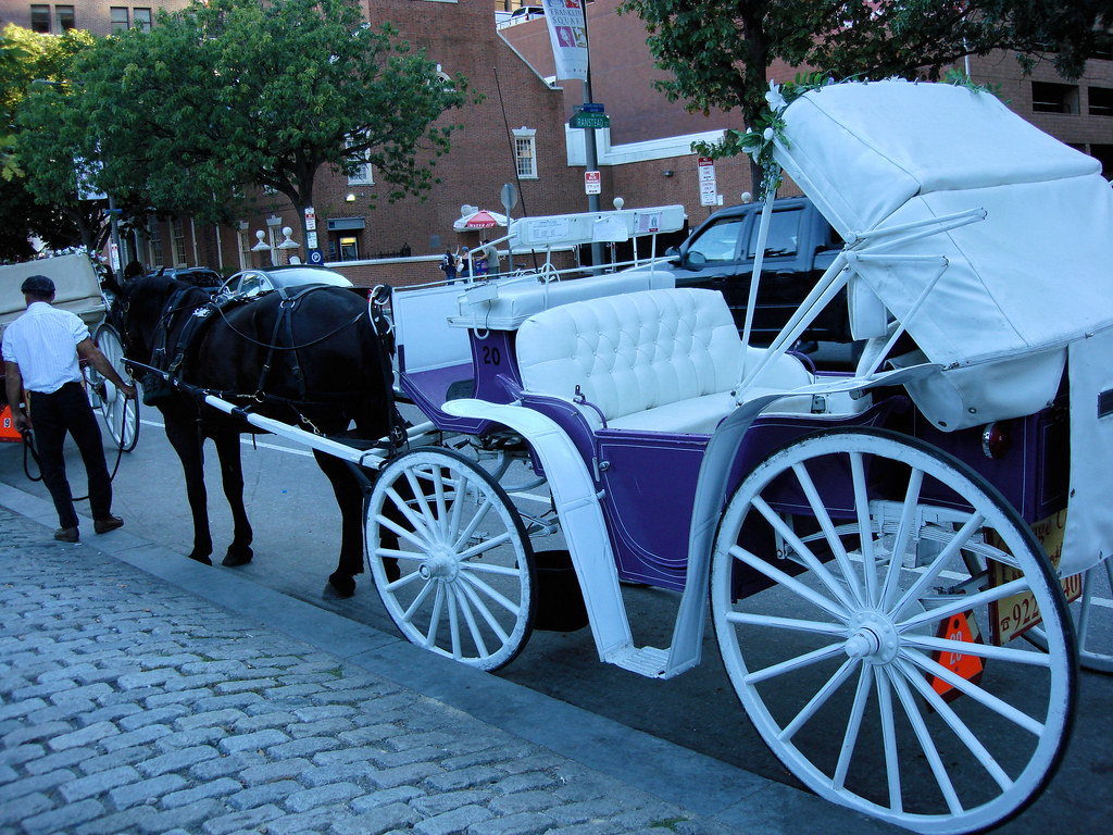 Phila Horse Carriage 3 Phila Walking Around (Horse Car… Flickr