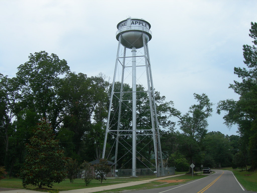 Pine Apple Water Tower Jimmy Emerson, DVM Flickr