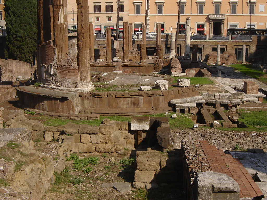 DSC01002 a wider view of the cat sanctuary Martin Lopatka Flickr