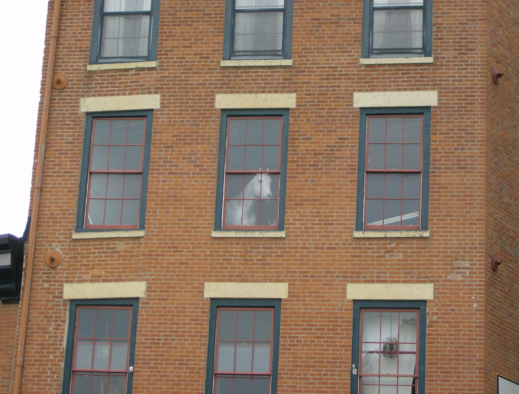 Horse in Window Saw this while walking through Galena, Ill… Flickr
