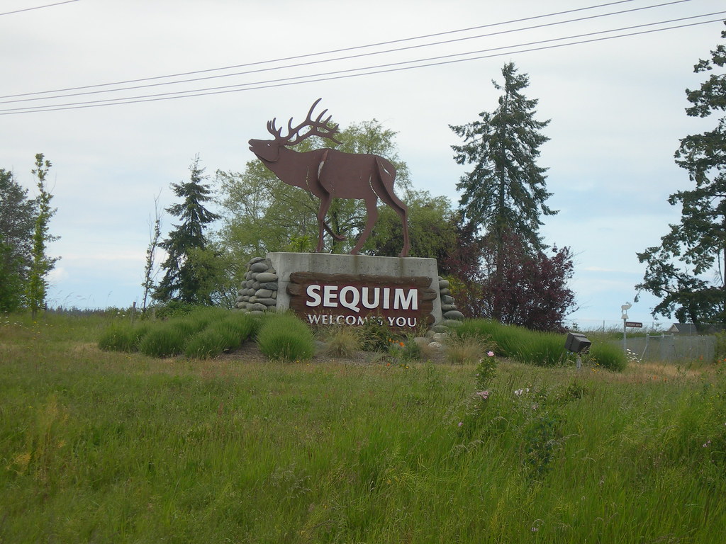 to Sequim Town claims to be the Lavender Capital o… Flickr
