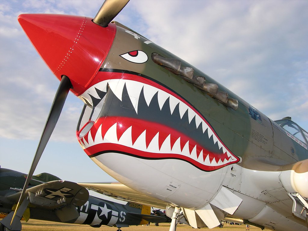 P40E Warhawk/Kittyhawk (NX40PE) This ex RCAF P40E Warhaw… Flickr