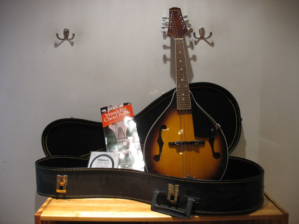 Johnson Mandolin Mandolin (10.5"w 2.5"d 27.5"h ) Case (1… Flickr