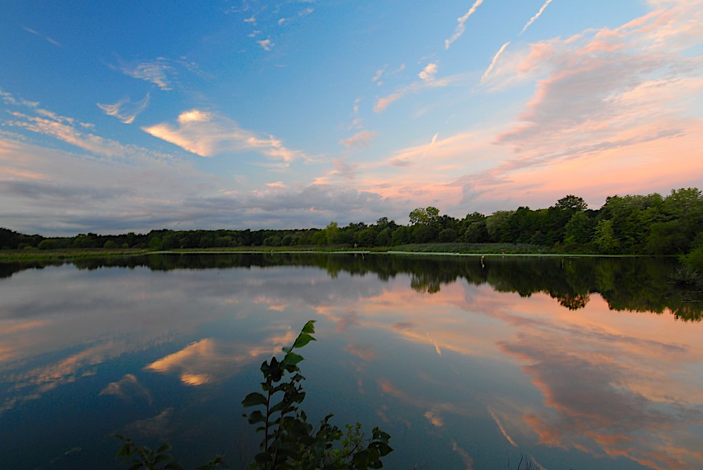 Celery Farm Allendale NJ The combination of good sunset, 1… Flickr