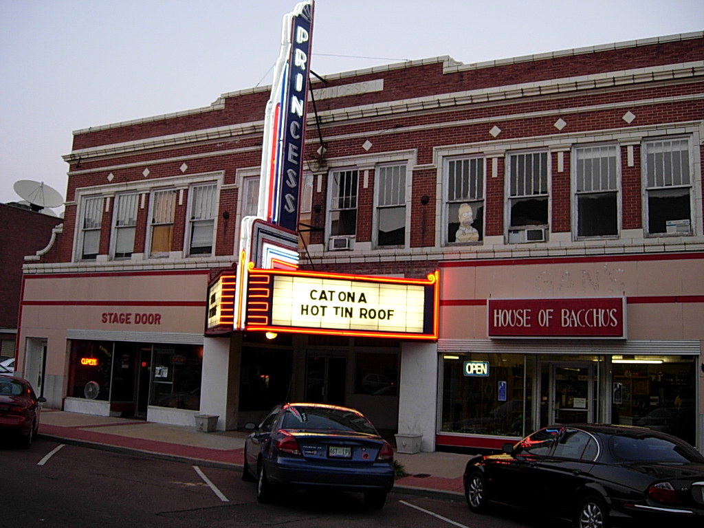 THE PRINCESS THEATRE (click photo to enlarge) Photo by Do… Flickr