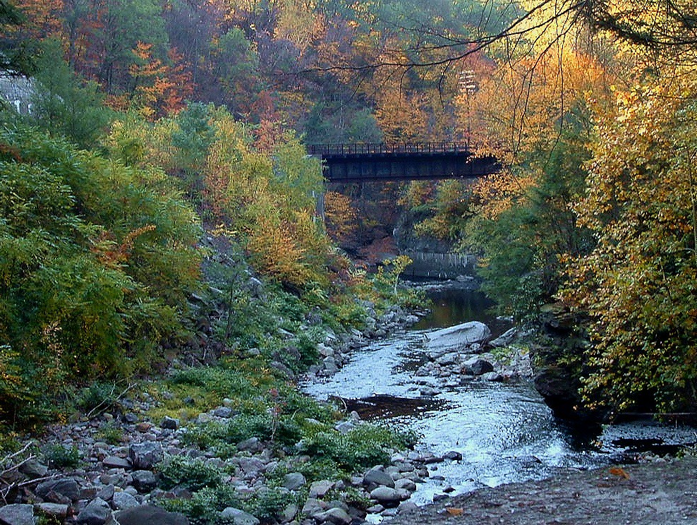 Roaring Brook and Railroad Bridge, Scranton, PA Pat Walsh Flickr