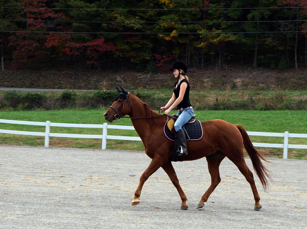 Greenhill Park Equestrian Center October 24, 2010 View On … Flickr