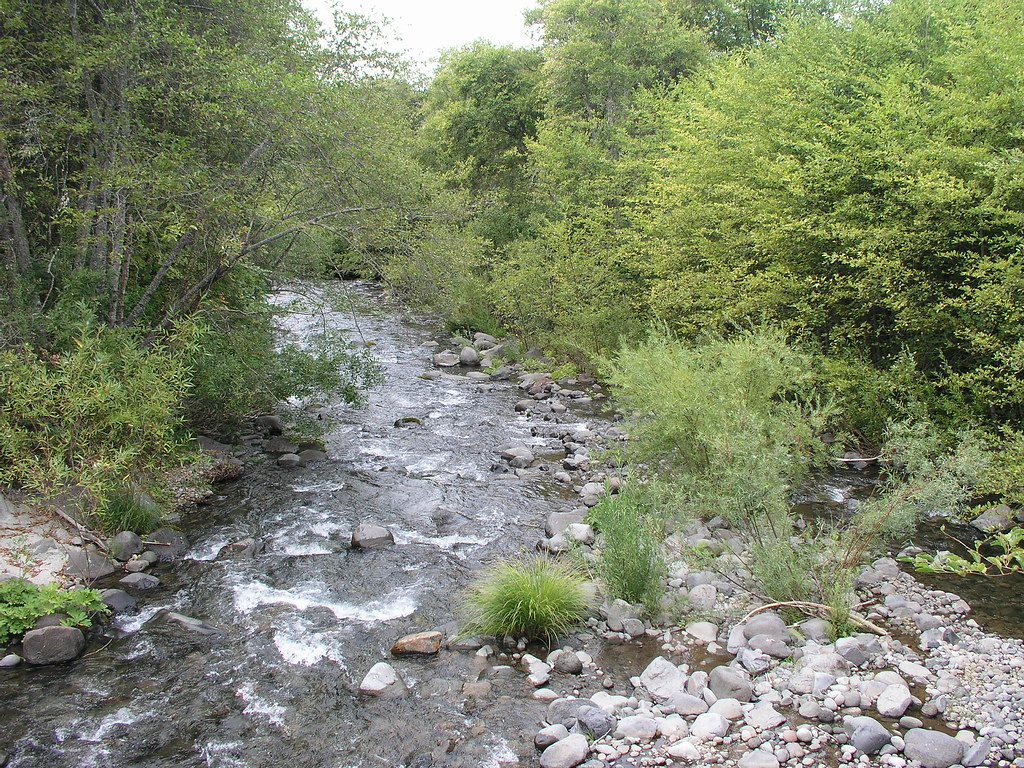 Nelson Creek 3 P9180089 Ken Horn Flickr