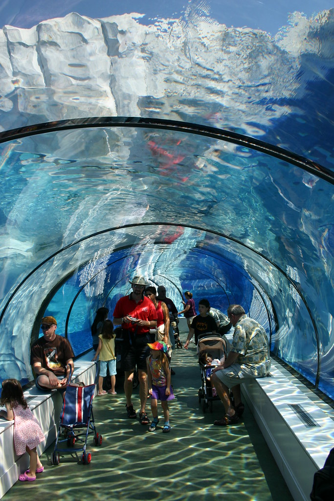 Labor Day Weekend 2007 The Detroit Zoo Avinash Bhat Flickr