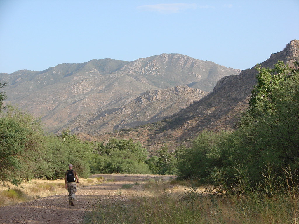 Sunflower AZ Jason Crews Flickr