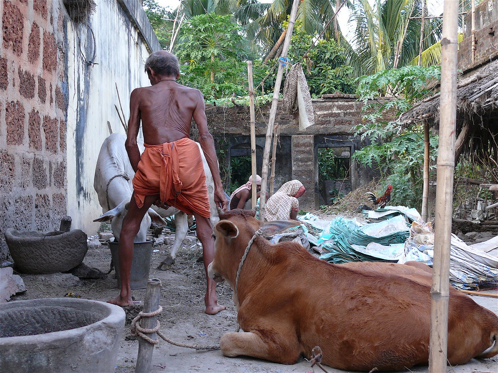 Bhubaneswar De stad van 7000 tempels. Rita Willaert Flickr