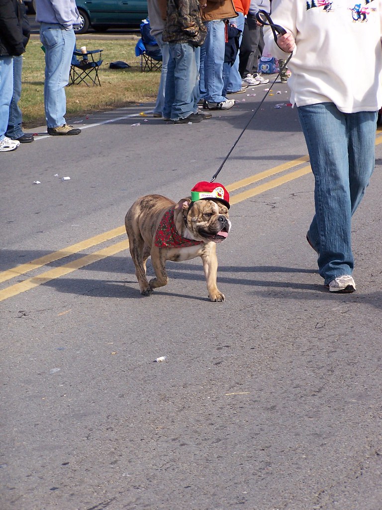 20061202_Pleasant_View_Xmas_Parade 131 Everyone gets invol… Flickr