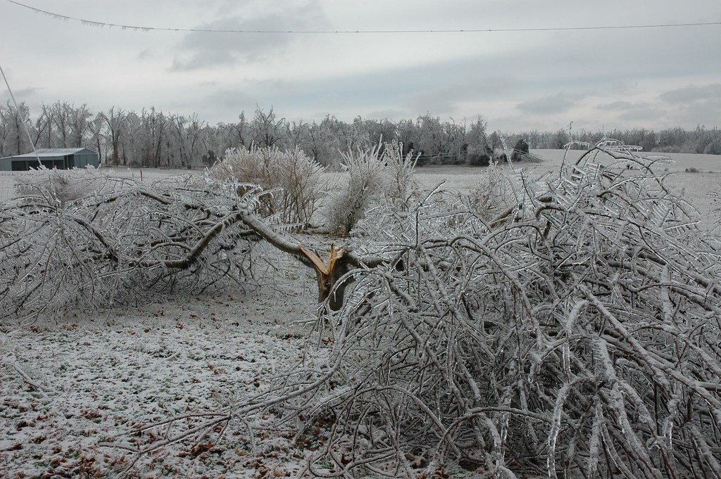 Springfield Missouri Ice Storm of 2007 Ice Devistation oldreddragon