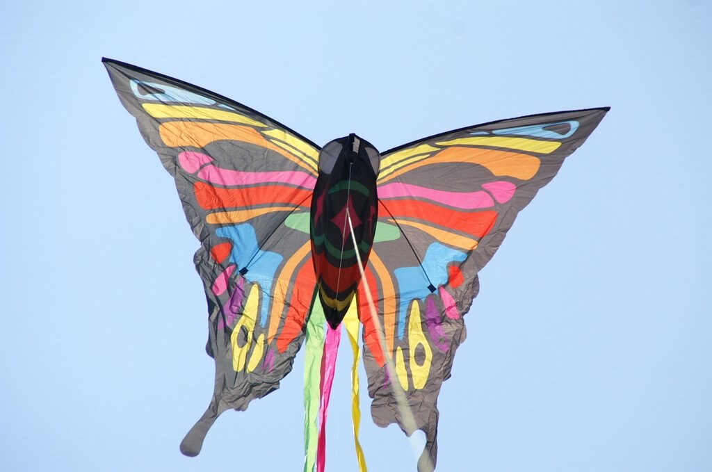 Our Butterfly Kite Our kite. We take this kite with us eve… Flickr