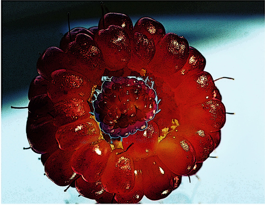 Magic fruit A "magic fruit" for "Work your magic" an exhib… Flickr