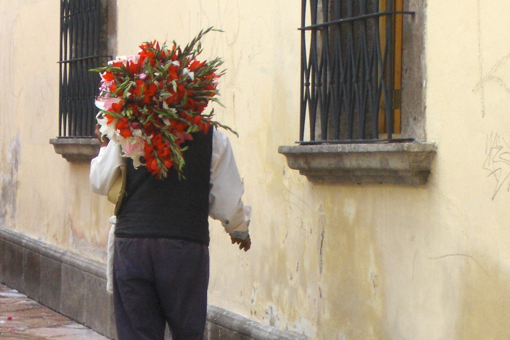 July 20th Flowers for Sale Flower seller in Querétaro's Ce… Flickr