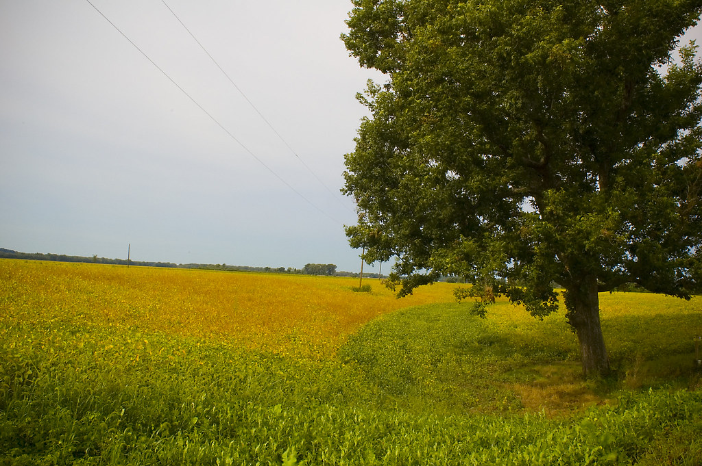 Elevation of Mokane, MO, USA Topographic Map Altitude Map