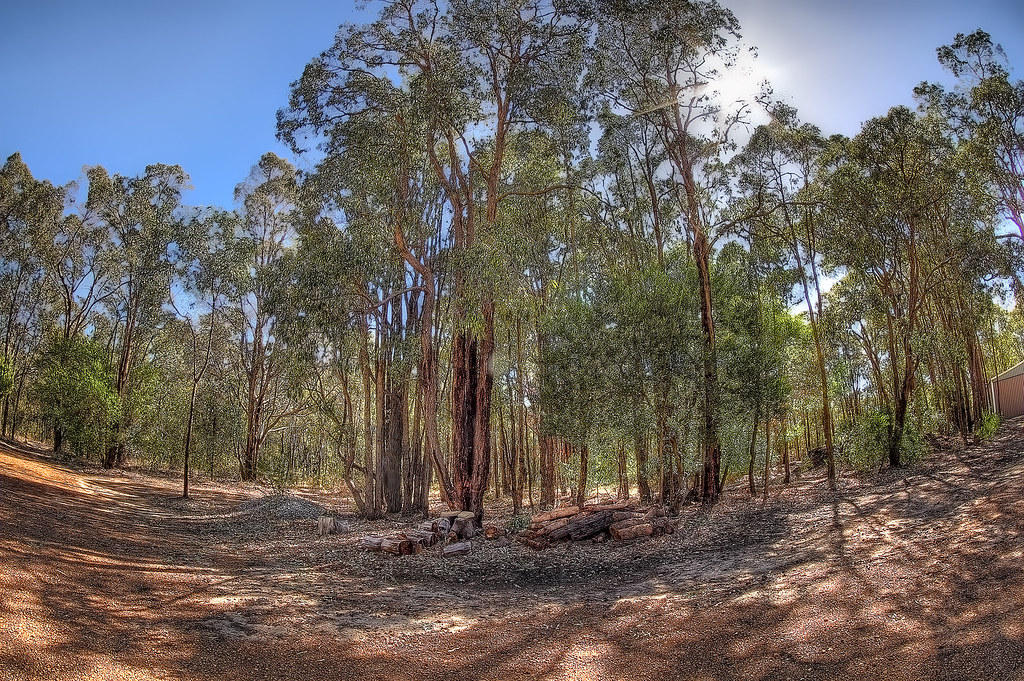 Gum Trees Another set of HDR (3) exposures send to me by R… Flickr
