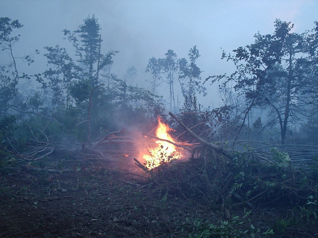 Brush Fire Brush fire in Louisa County Virginia 47 acre cu… Flickr