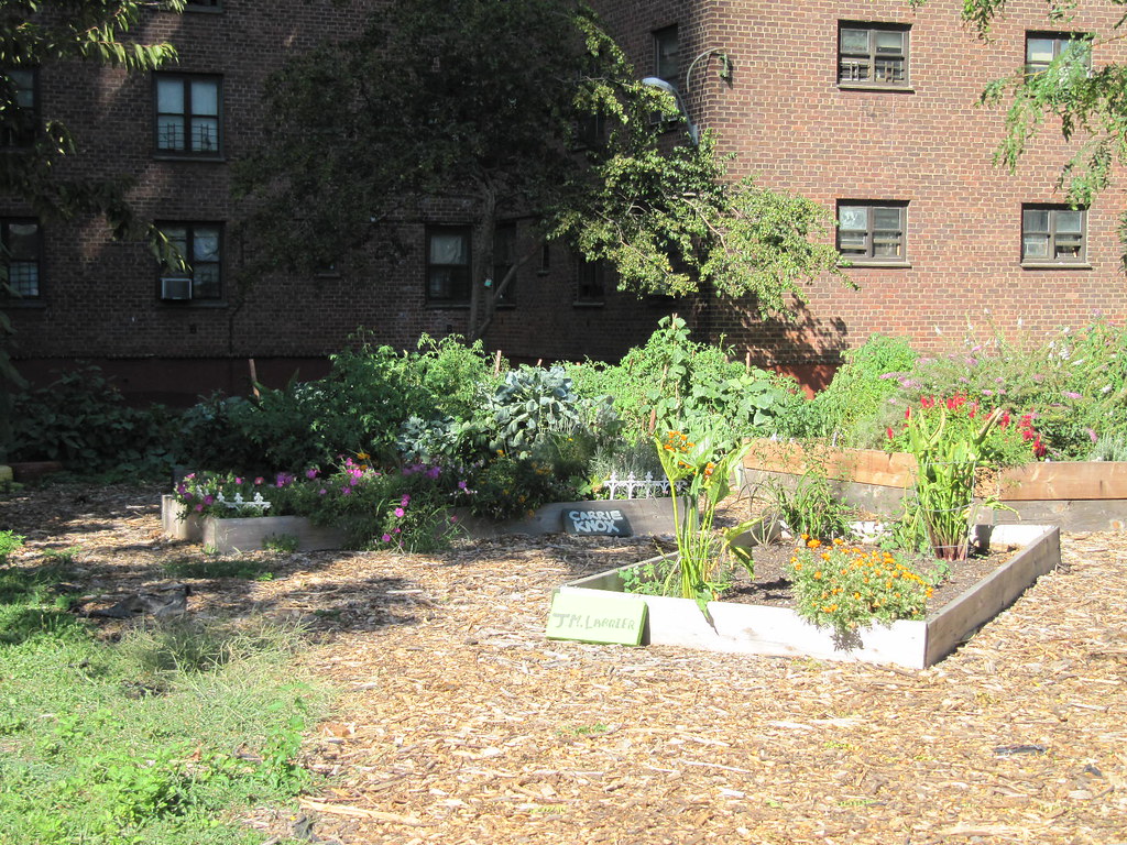Ingersoll Community Garden nicolerenee11 Flickr