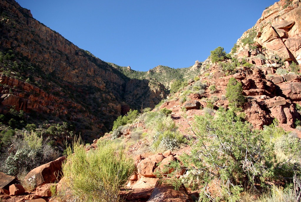 Tanner Trail at Seventyfive Mile Canyon Saddle Looking up … Flickr