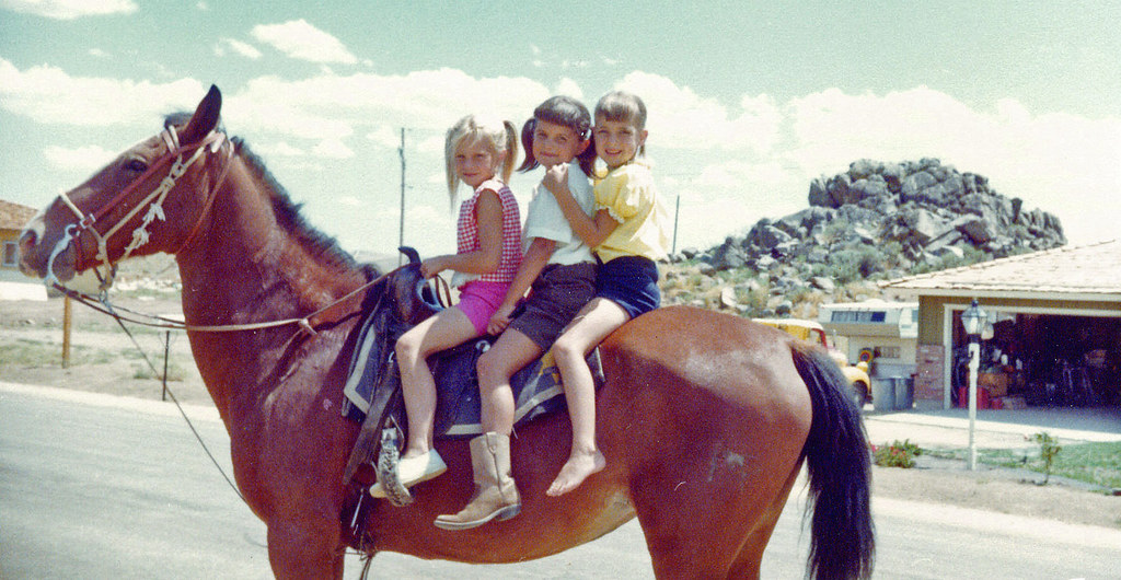 Stead NV 1971 Holly McCaughley Flickr