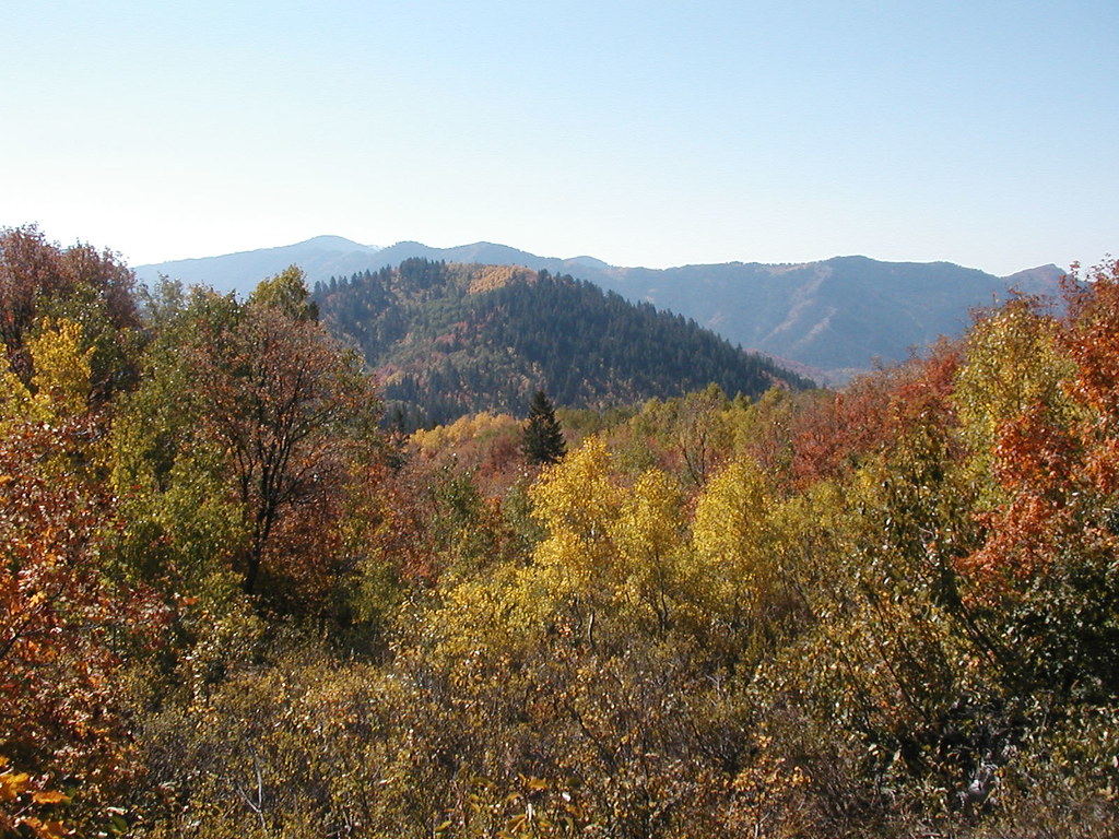 Cub River 2006 005 redlou48 Flickr