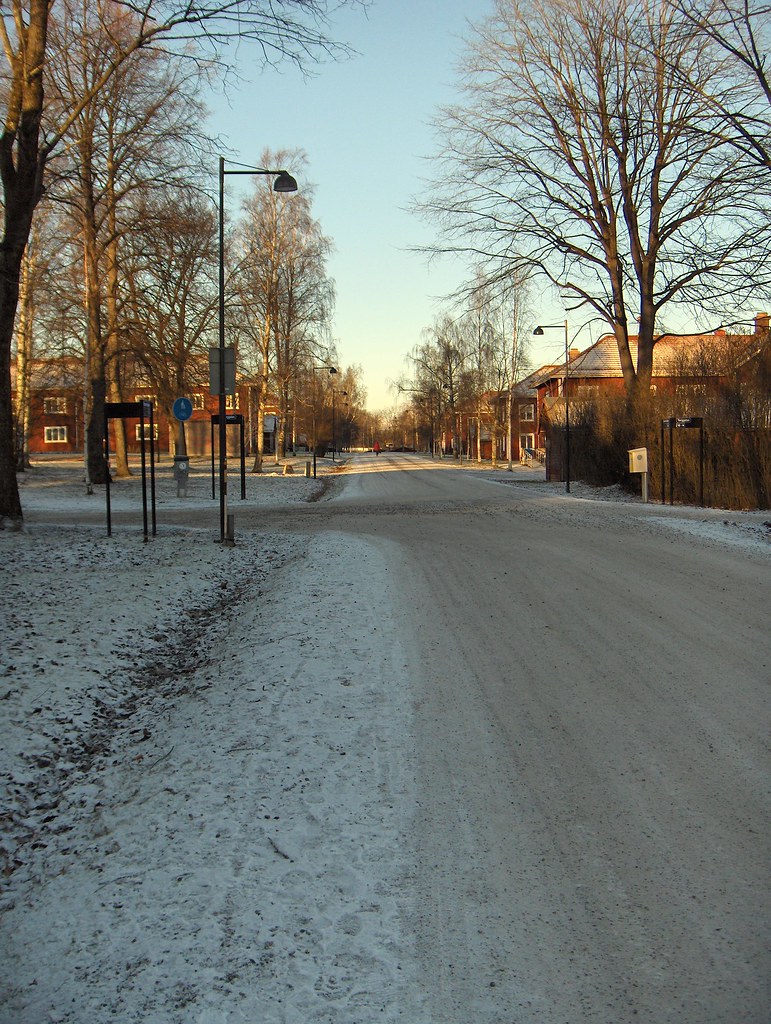 My street My street in Hushagen. Dalarna Sweden. Wide, tre… Flickr