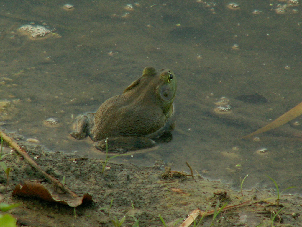 MonteBello MonteBello Bed and Breakfast Inn, in Ames, Iow