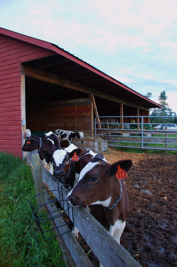 Snug Valley Farm Flickr