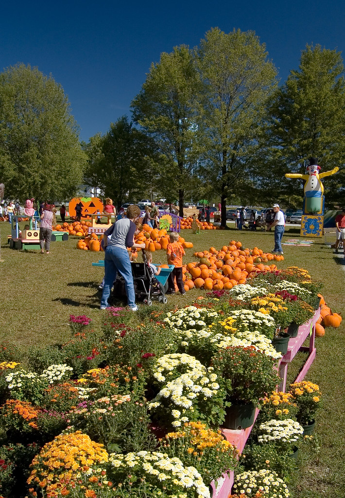 Shaw Farms Fall festival at Shaw Farms, Milford, Ohio. Lot… Flickr